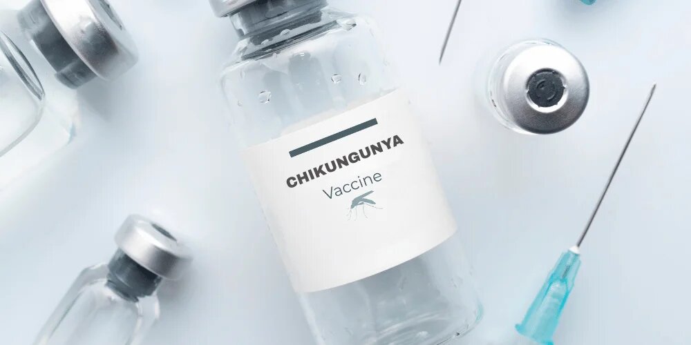 چیکونگونیا؛ ویروسی که کمرتان را خم میکند/ کدام کشورها درگیر شدهاند؟/ بررسی علائم و درمان