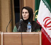 جنگل‌های ۵۰۰ساله قزوین در خطر نابودی