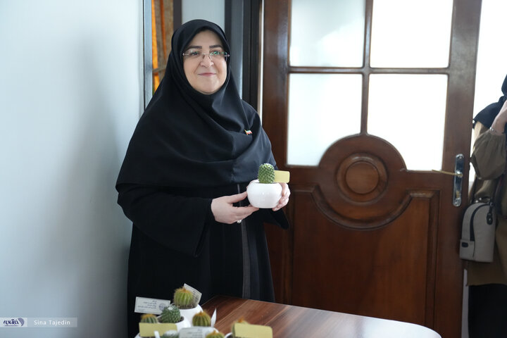 فاطمه مهاجرانی - سخنگوی دولت