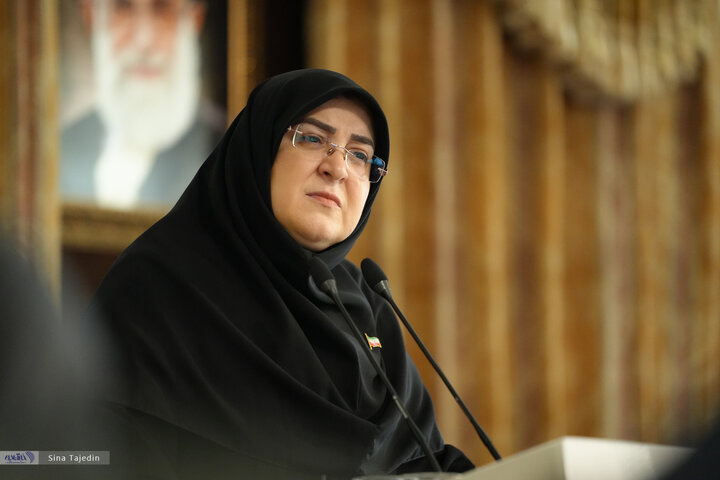 فاطمه مهاجرانی - سخنگوی دولت