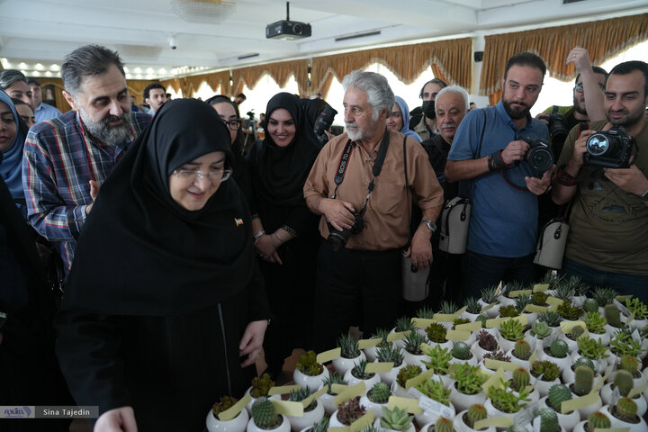 فاطمه مهاجرانی - سخنگوی دولت