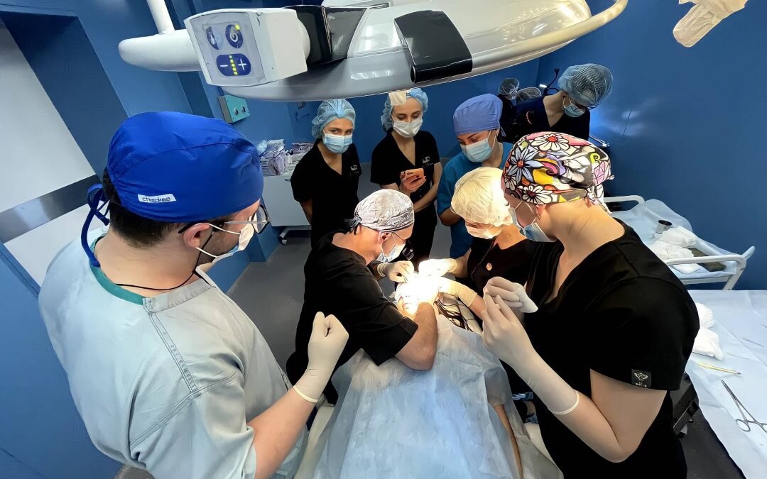 آموزش حرفه ای کاشت مو؛ بدون نیاز به مدرک دانشگاهی!