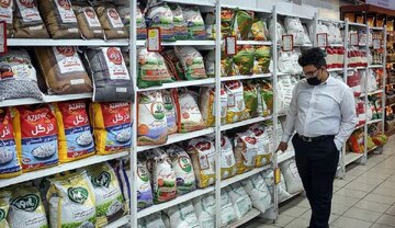 قیمت برنج خارجی امروز ۲۴ مرداد ۱۴۰۴ / ارزان‌ترین برنج پاکستانی کیلویی چند؟ + جدول