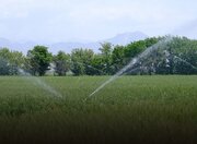 تحویل ۲۶۰پروژه سامانه نوین آبیاری در قزوین