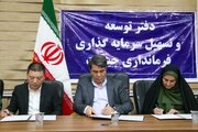 سرمایه‌گذاری چینی ها در بخش تولید خودرو در جنوب کرمان