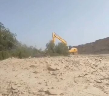 قطع درختان کهور در پارسیان؛ منابع طبیعی: هیچ مجوزی صادر نشده
