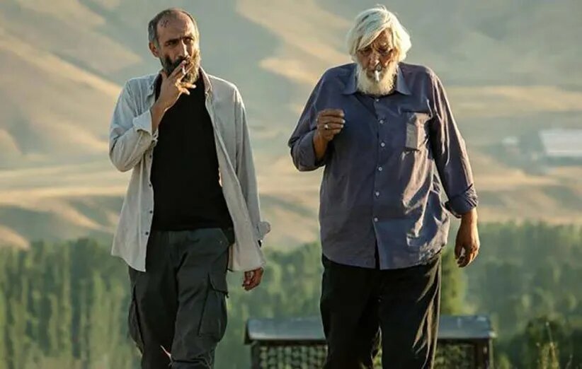 فیلم پیرپسر، «بی‌ پدری» و «پدر سوختگی»