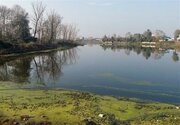 بابل به شبکه جهانی شهرهای تالابی پیوست