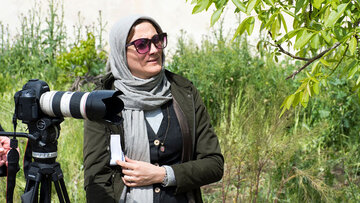 بحرانی که جنگ به خانه آورد/ وقتی سوژه زن است، محدودیتها و سختگیریها بیشتر است