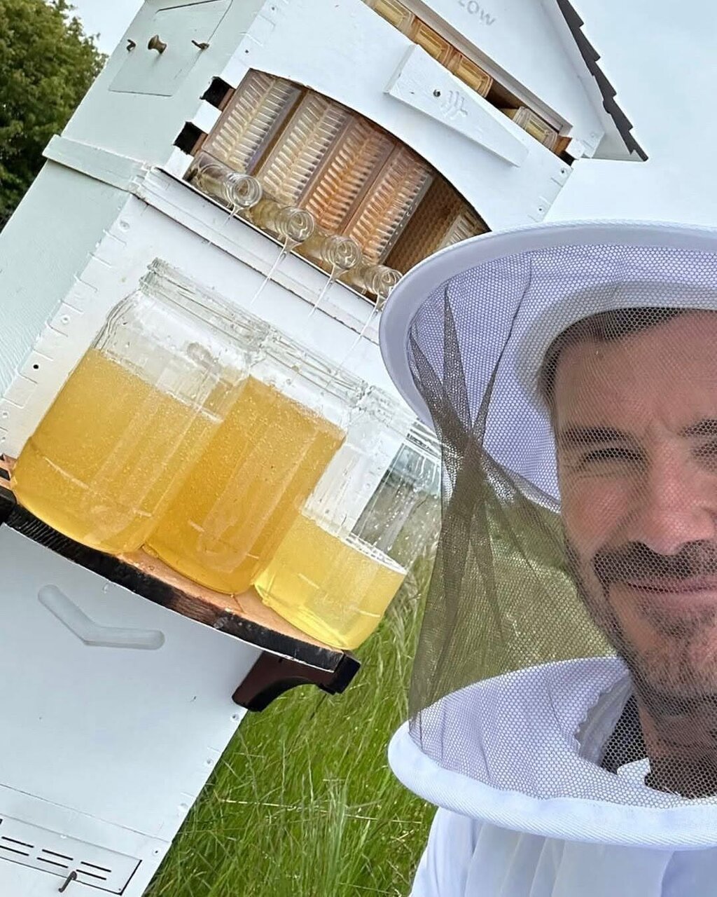 عکس | تجارت جدید دیوید بکام عسل؛ اسطوره انگلیسی زنبوردار شد!