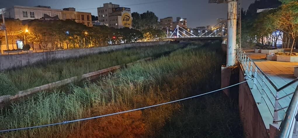 رودخانه خرمآباد در محاصره گیاهان هرز / هشدار معاون عمرانی استانداری