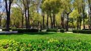 آغاز طرح کاشت ۲۵ گونه گیاهی بومی در شهرکرد برای احیای تنوع زیستی