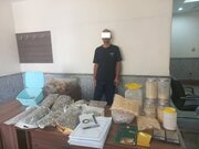 دستگیری موادفروشی با ۲K فالوئر/ فروش قارچ جادویی در اینستاگرام