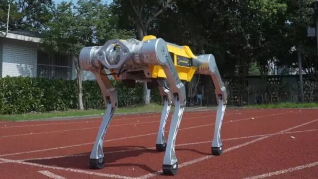 سگهای رباتیک قاتل پشهها شدند / راه حل هوش مصنوعی برای مقابله با بیماریهای مسری