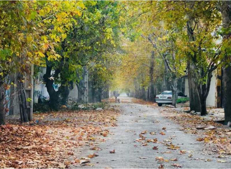 از سوئیت_های شهری تهران تا ویلاهای لوکس