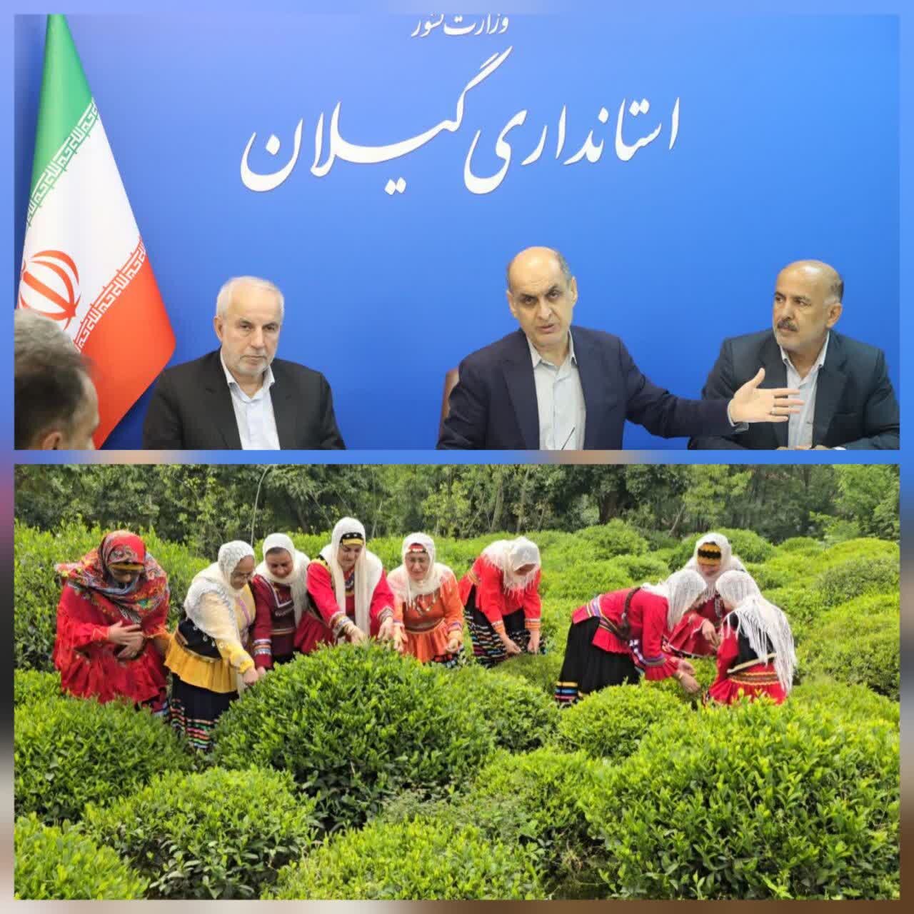ق