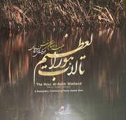 تلفیق هنر و محیط زیست؛ یک سال‌ونیم پژوهش و سفر میدانی در یک اثر نفیس