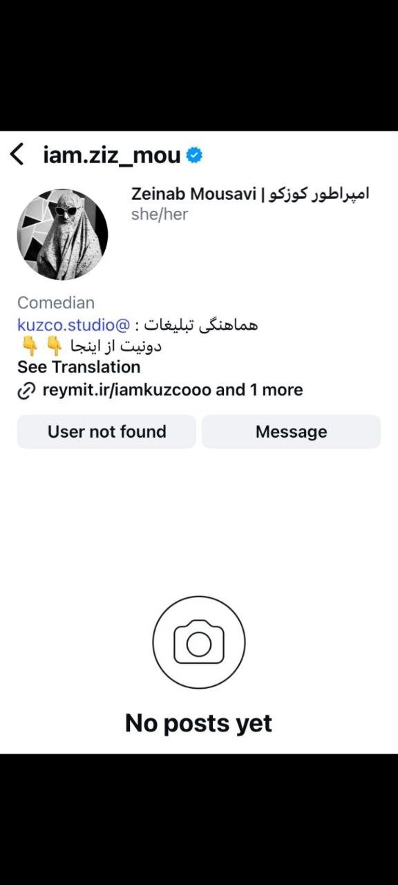 تمسخر شاهنامه، کمدینی که از خط قرمزها عبور کرد / پیج اینستاگرام زینب موسوی بسته شد + توئیتها 2