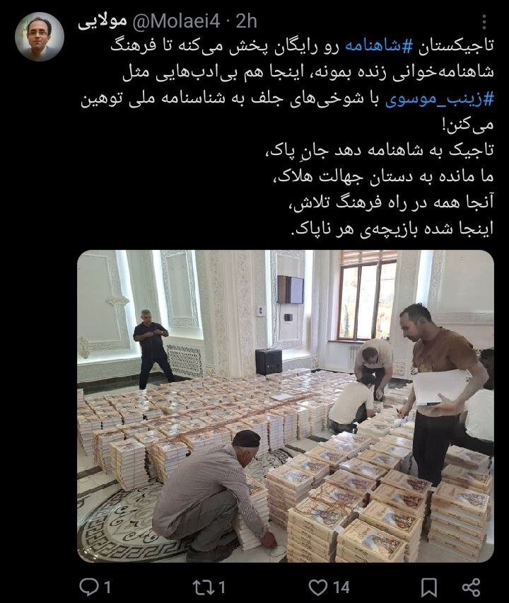 تمسخر شاهنامه، کمدینی که از خط قرمزها عبور کرد / پیج اینستاگرام زینب موسوی بسته شد + توئیتها 4