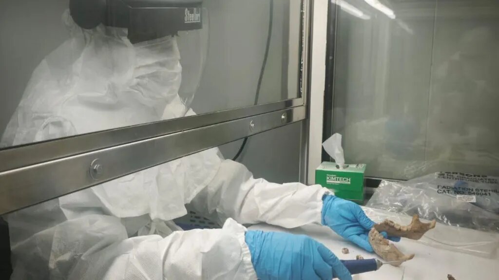 رمزگشایی از چهره و تبار با استفاده از دندان ۲۵۰۰ ساله!