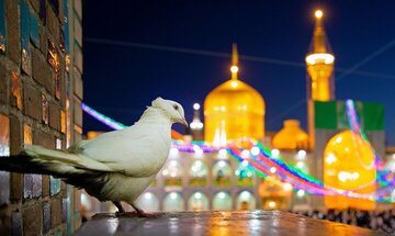 بشارت امام رضا(ع) برای آخرالزمان و ظهور منجی بشریت