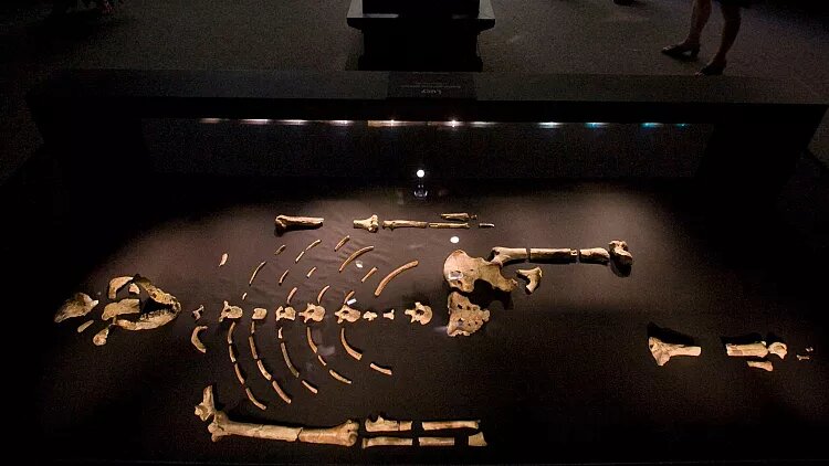 نمایش اسکلت پیرترین زن جهان، برای نخستین بار در اروپا