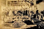 خاطرات مظفرالدین‌شاه: در ضرابخانه بروکسل مسکوک نیکل را برای ایران سکه می‌کنند