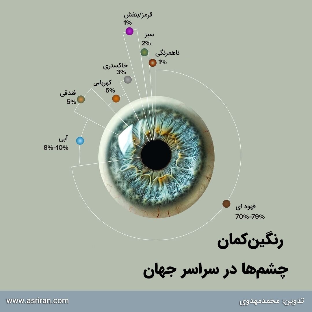 چشمِ رنگی فقط «سبز» و «آبی» نیست/ نقشه جهانی رنگ چشم انسان‌ها/ پرجمعیت‌ترین رنگ چشم در دنیا کدام است؟/ اینفوگرافی