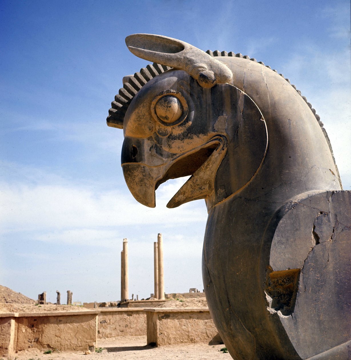 کشف جمجمه موجودی تک چشم/ مردم باستان با این موجودات چه کاری کردند؟