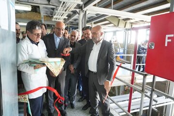 افتتاح دو خط جدید تولید مواد مؤثره دارویی در کرمانشاه افتتاح دو خط جدید تولید مواد مؤثره دارویی در کرمانشاه