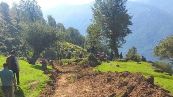 کشف جاده غیرمجاز ۸ کیلومتری در جنگلهای گیلان/ عکس