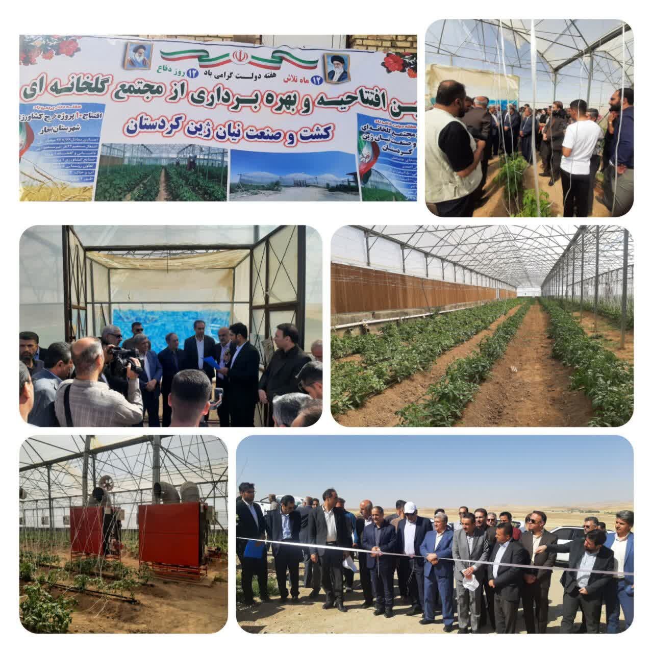 افتتاح مجتمع گاوشیری دیواندره؛ گامی مؤثر در تقویت صنعت دامپروری و اشتغالزایی در کردستان