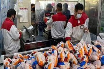 تغییر مهم در قیمت مرغ / مرغ چه زمانی ارزان می‌شود؟