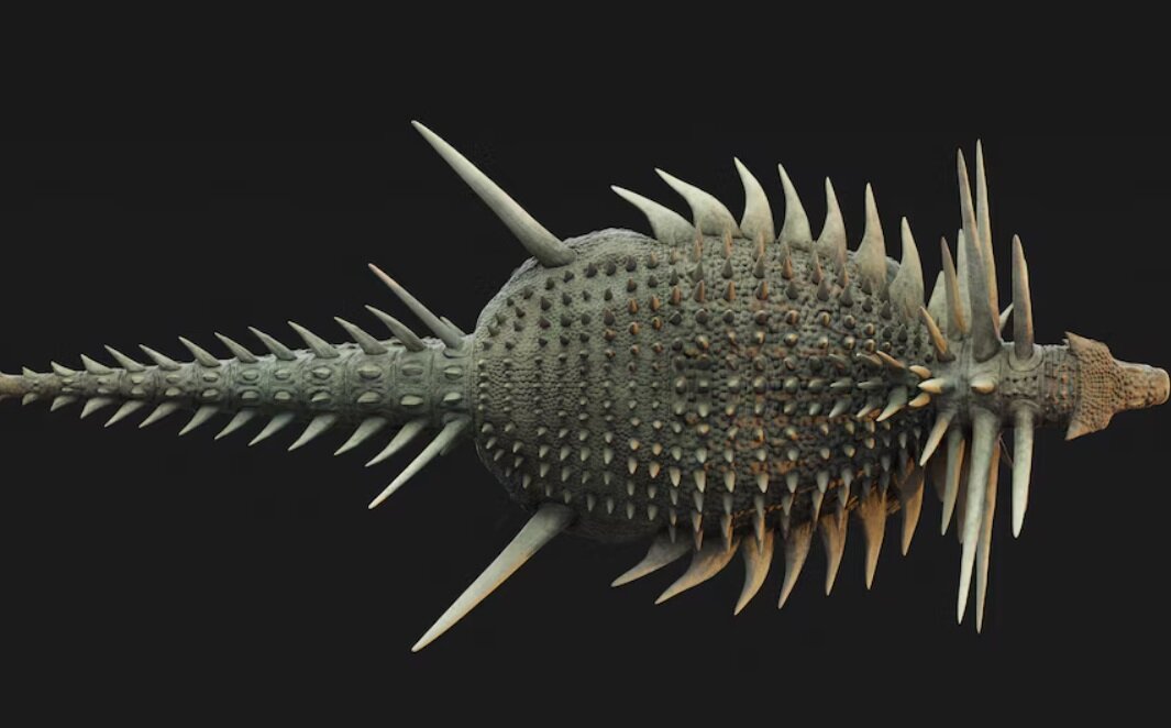 کشف فسیل دایناسور زرهپوش با خارهای یک متری/ عکس