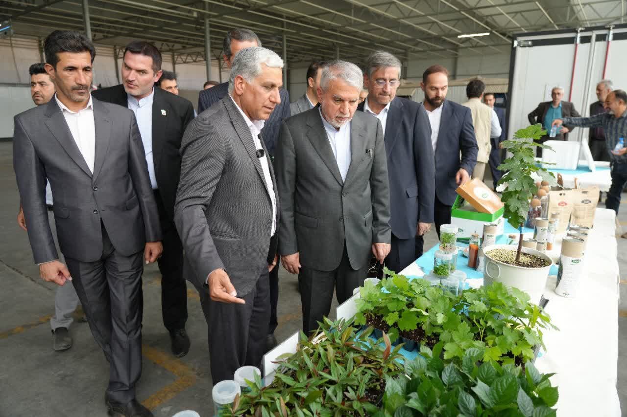 کشت و صنعت خرمآباد قطب پذیرش گردشگر خواهد شد