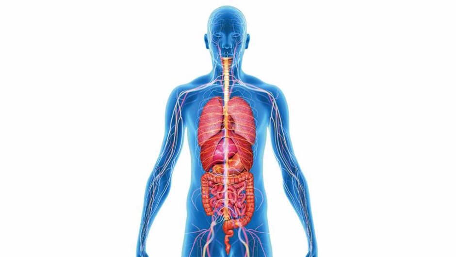 هزینه ساخت یک انسان ۷۰ کیلوگرمی: ۷۰ برابر مصرف برق جهان!