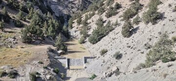 دستاوردهای ۱۲ ماهه منابع طبیعی گرمسار در هفته دولت ۱۴۰۴ دستاوردهای ۱۲ ماهه منابع طبیعی گرمسار در هفته دولت ۱۴۰۴