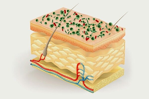 میکروبهایی که به سلامت پوست کمک میکنند/ افشاگری درباره برخی محصولات مراقبت از پوست