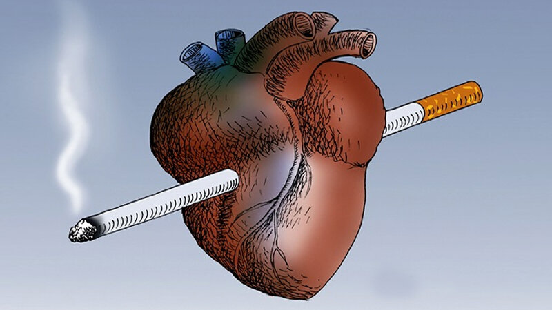 دلیل ضعیف شدن ماهیچههای قلب چیست؟/ این افراد بیشتر در معرض خطرند