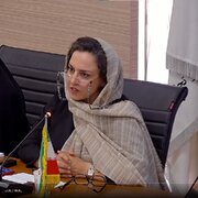 بارش آتش اسراییل و برخی روشنفکران بر سر مردم / تحلیل های برخی روشنفکران مردم را تحقیر می کند / روایتی نو از جامعه کنشگر ایران