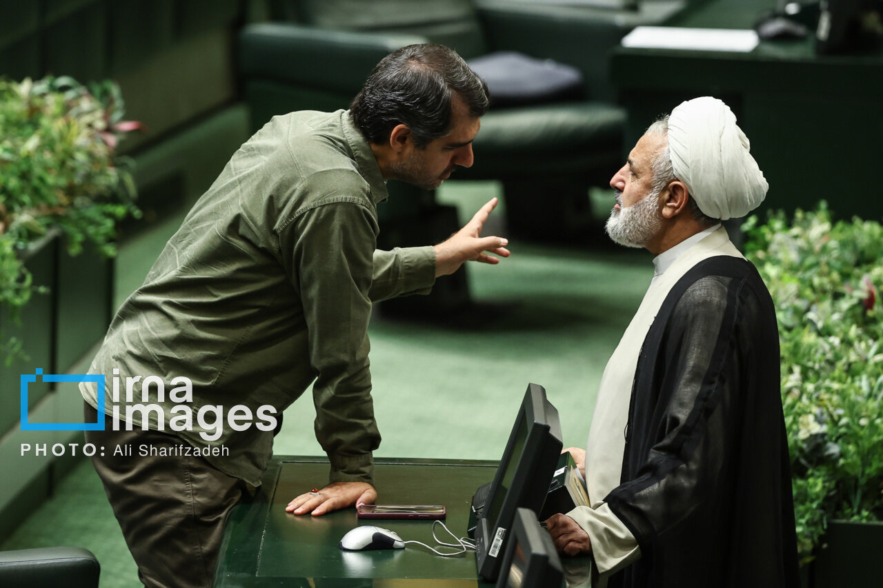 تندروها در صحن علنی مجلس چه می کنند؟/ تصاویری متفاوت از رسایی، ثابتی و نبویان در بهارستان