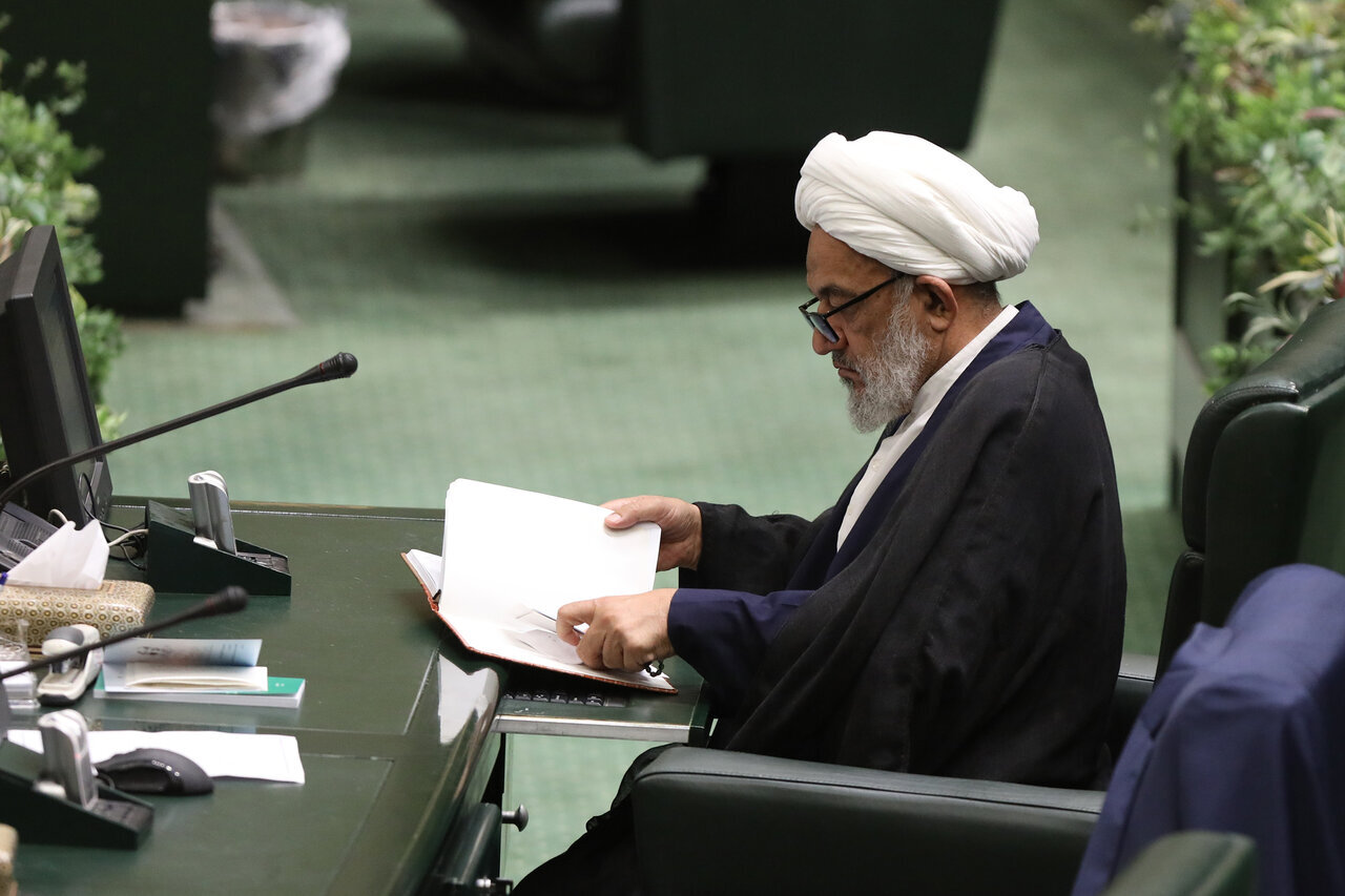 تندروها در صحن علنی مجلس چه می کنند؟/ تصاویری متفاوت از رسایی، ثابتی و نبویان در بهارستان