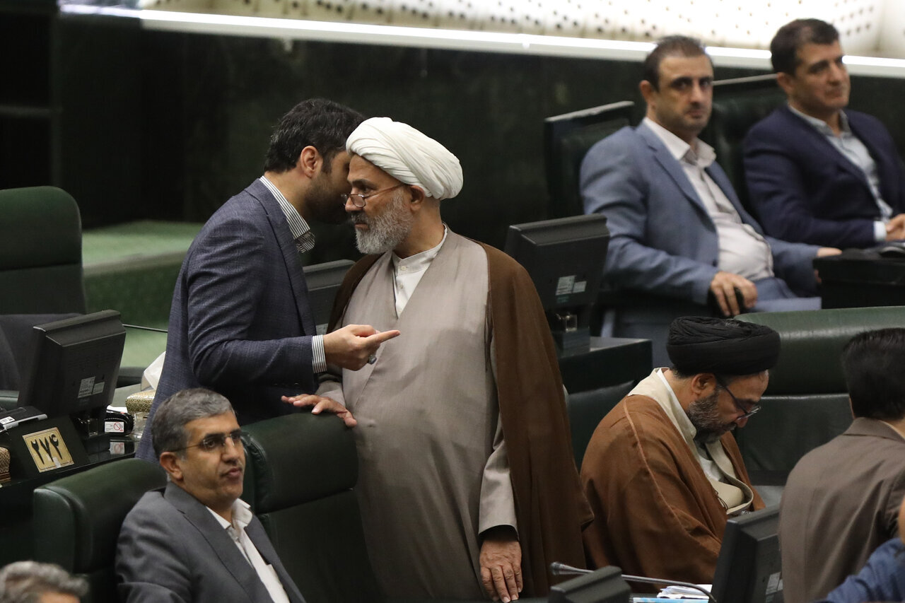 تندروها در صحن علنی مجلس چه می کنند؟/ تصاویری متفاوت از رسایی، ثابتی و نبویان در بهارستان