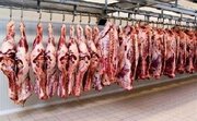 آغاز ثبت سفارش جدید برای واردات گوشت منجمد و گرم