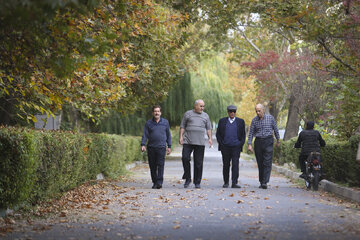 آیا عضلهسازی بعد از ۶۵ سالگی دیر است؟/ با این ۶ عادت مهم، پیری را عقب بیندازید آیا عضلهسازی بعد از ۶۵ سالگی دیر است؟/ با این ۶ عادت مهم، پیری را عقب بیندازید