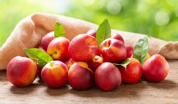 این میوه برای درمان یبوست و تقویت کبد معجزه میکند این میوه برای درمان یبوست و تقویت کبد معجزه میکند