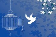 آزادی محکوم به قصاص در هرمزگان پس از ۹ سال حبس