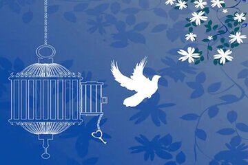 آزادی محکوم به قصاص در هرمزگان پس از ۹ سال حبس
