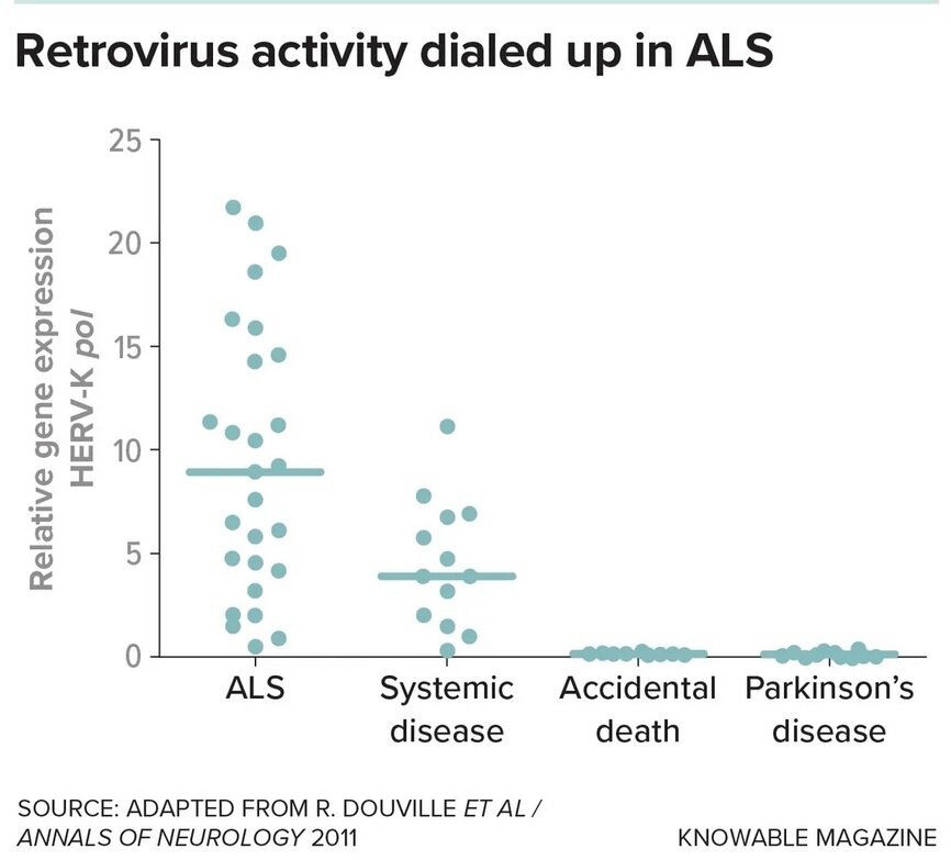 میراثی عجیب ویروسهای باستانی در بدن انسان مدرن!