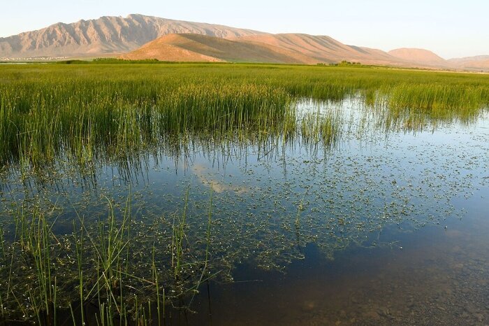 سفری به چهارگوشه ایران در آخرین روزهای تابستان / 10 مقصد جذاب برای ماجراجویی در تعطیلات آخر هفته 17